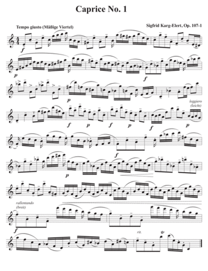 Karg-Elert - 30 Caprice Op107 - Flute Solo Fischer CU176