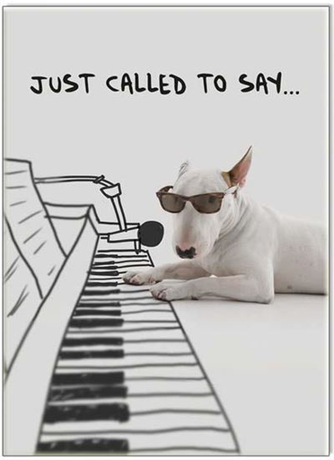 Greeting Card - Just Called to Say….Dog