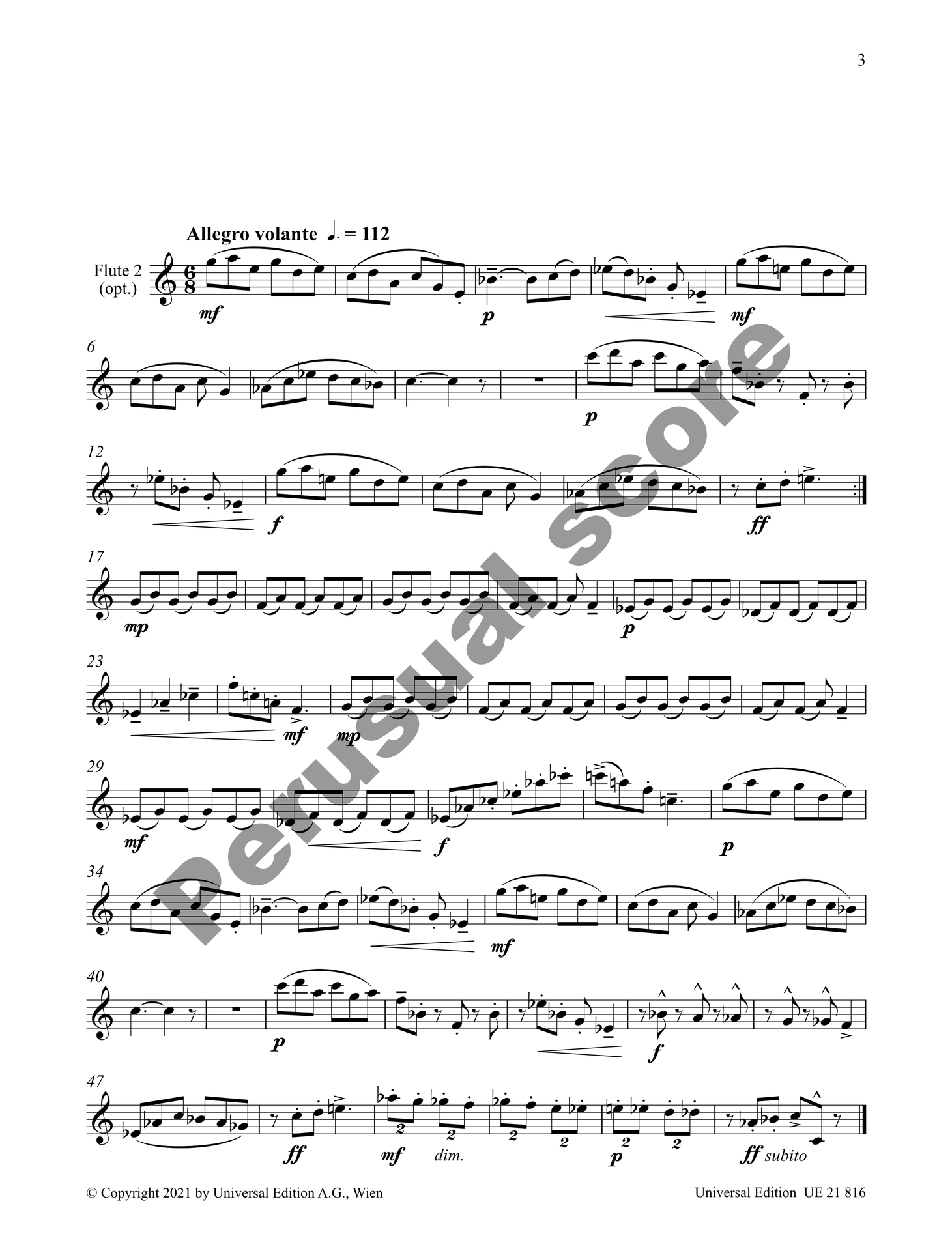 14 Studies in Duet Form for 1-2 Flutes - James Rae