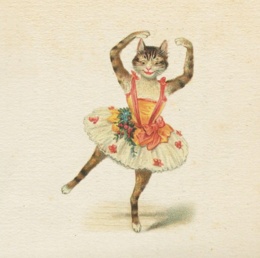 Greeting Card - Ballerina Cat