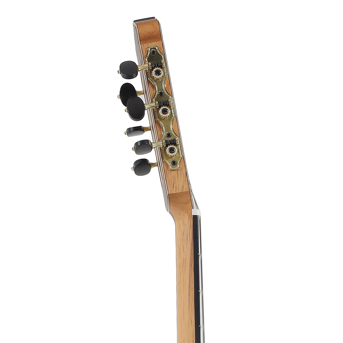 Hanika Natural PC (640 Scale) Concert Line Classical Guitar with Hiscox Case