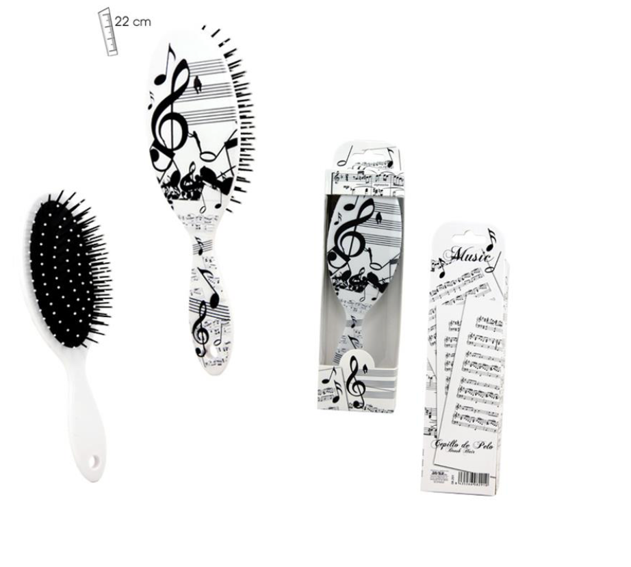 Musical Hairbrush in Giftbox