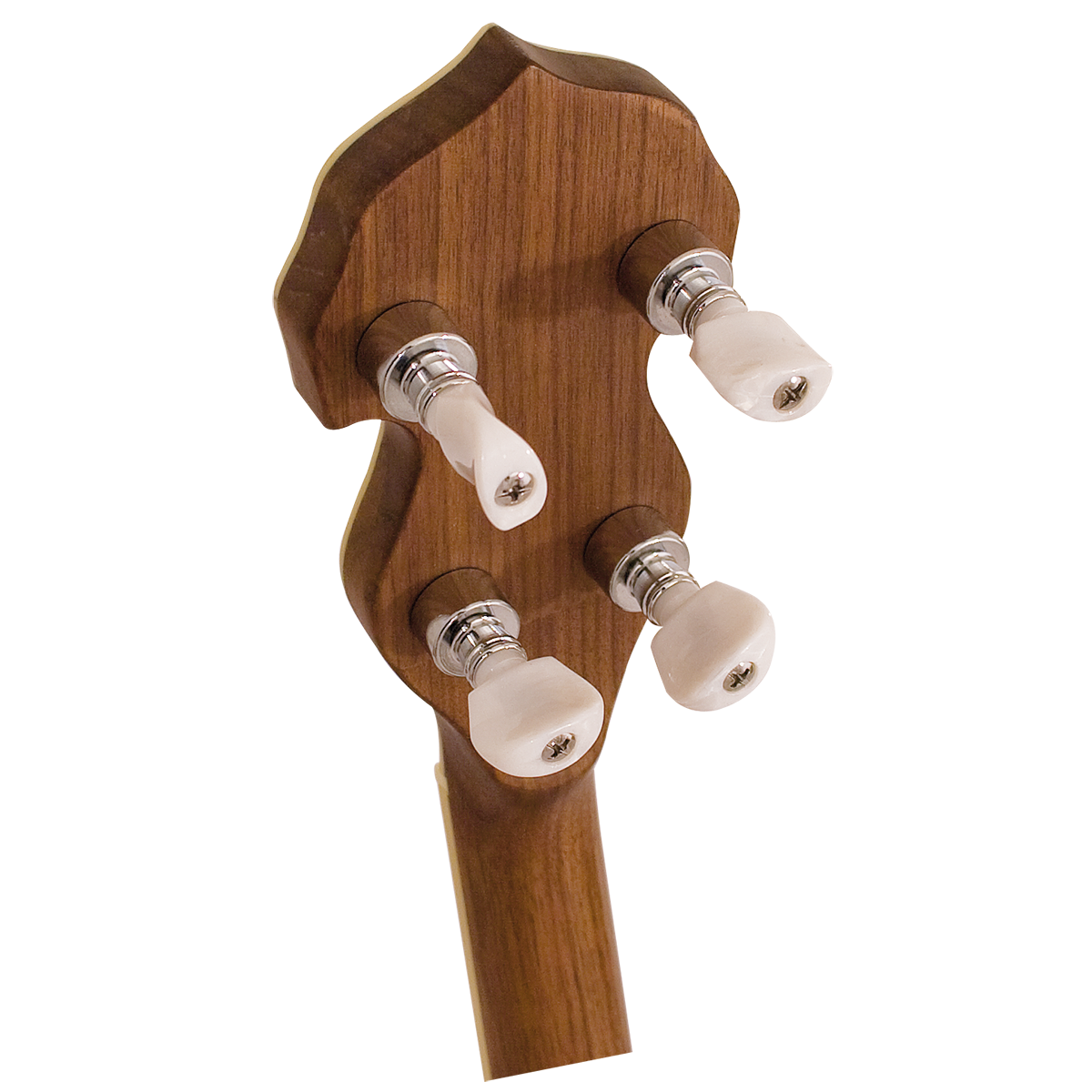 Barnes & Mullins BJ500BW Empress 5-String Banjo