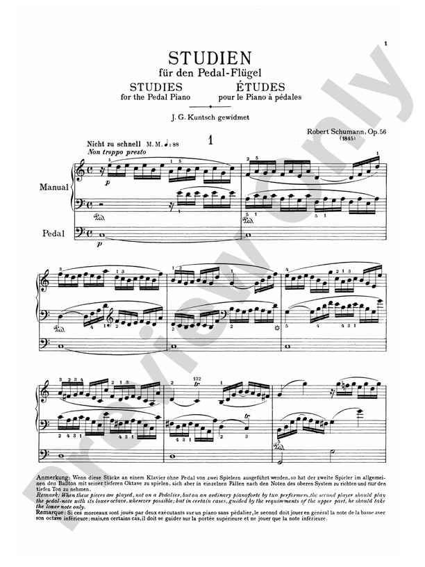 Schumann - Complete Works (Volume V) - Piano Solo (Digital Download)