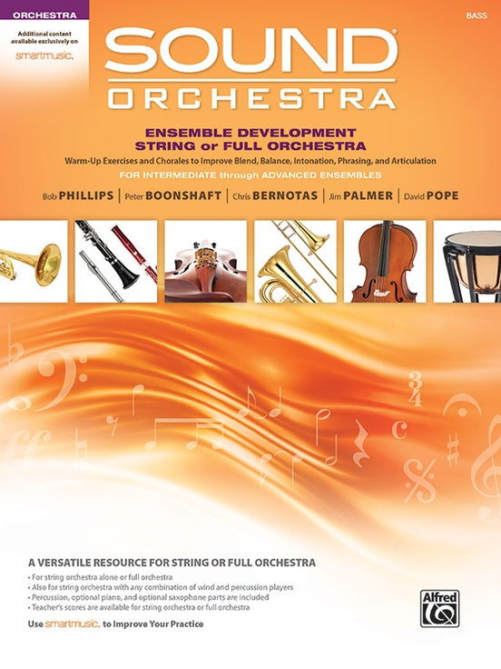 Sound Orchestra Ensemble Development String Bass
