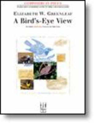A Bird's-Eye View