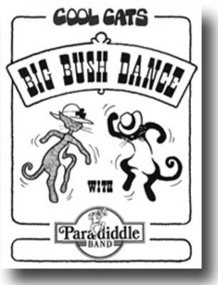 COOL CATS Big Bush Dance DVD - Paradiddle Band - Bushfire Press DVD