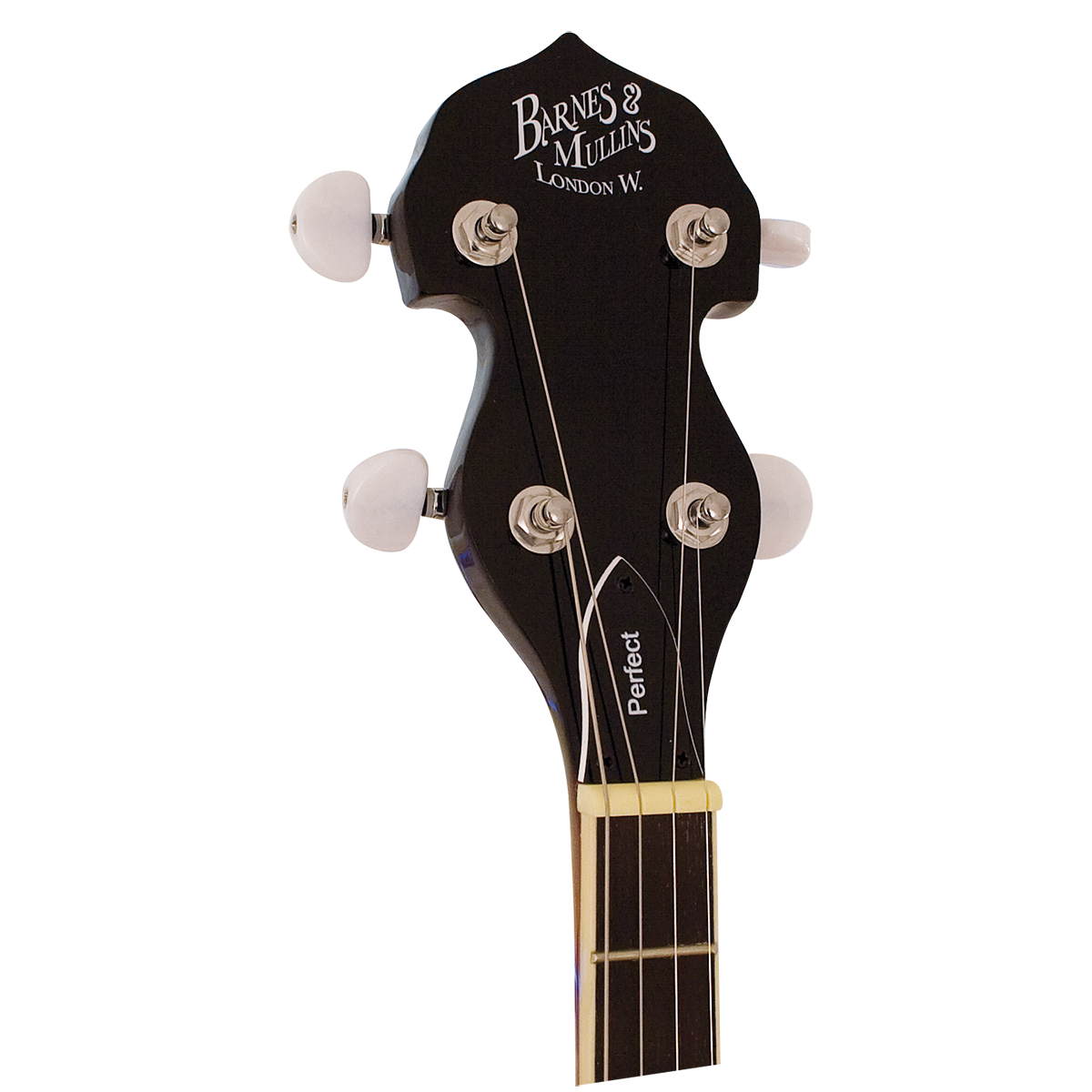 Barnes & Mullins BJ304GT 'Perfect' 4-String Gaelic Tenor Banjo