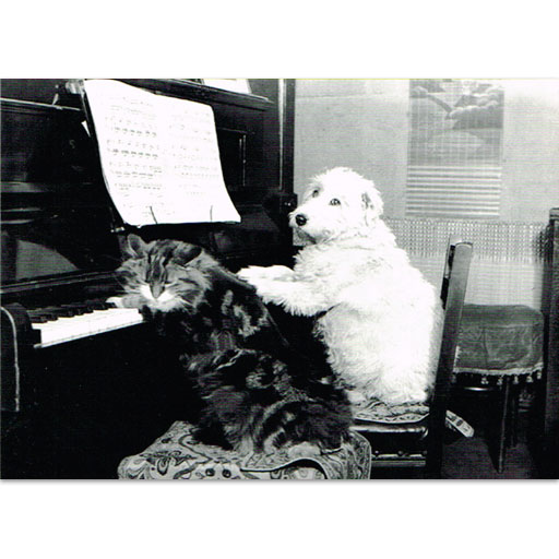 Greeting Card - Cat and Dog at Piano