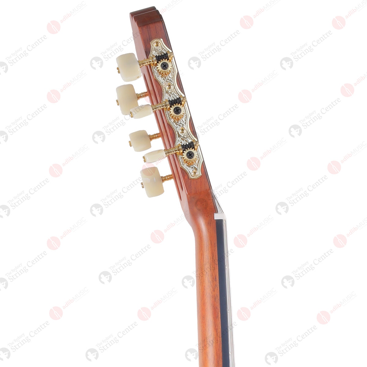 Yamaha GC22S Classical Guitar with Reinforced Bag, Spruce