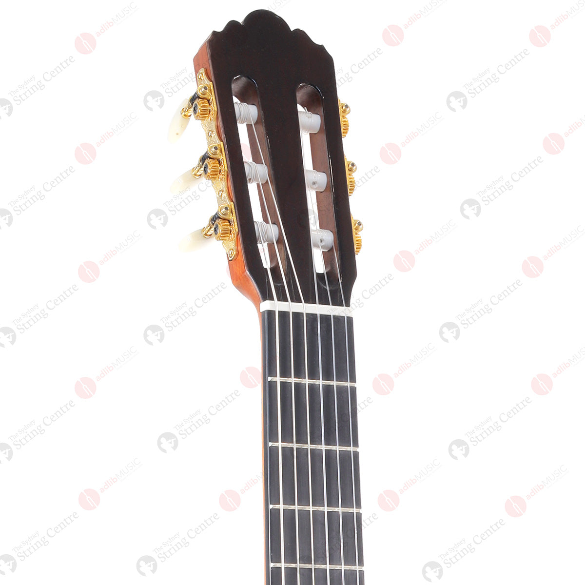 Yamaha GC22S Classical Guitar with Reinforced Bag, Spruce