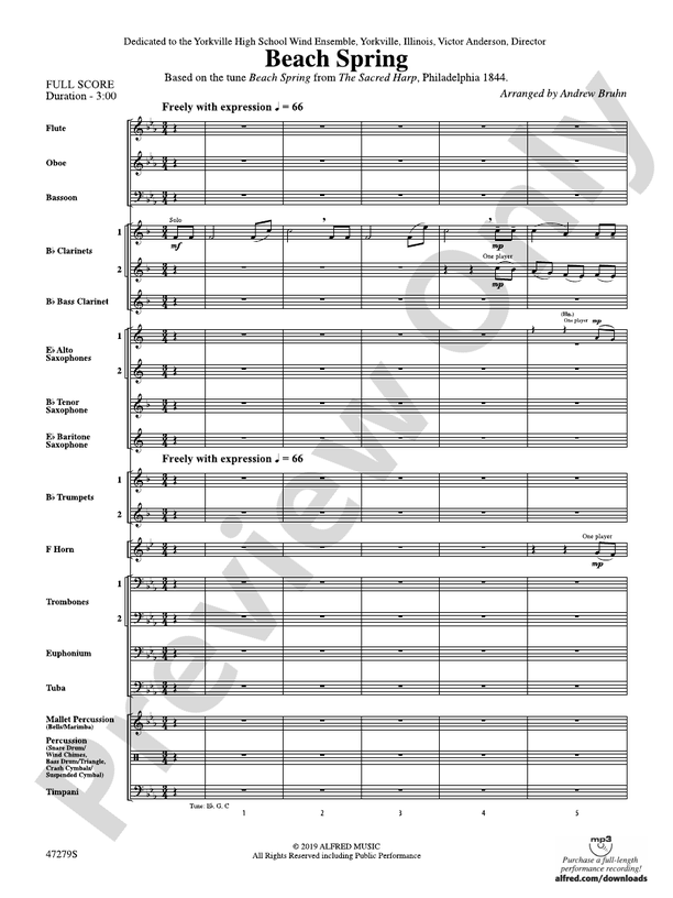 Beach Spring (Grade 2.5) - Concert Band Conductor Score & Parts (Digital Download)