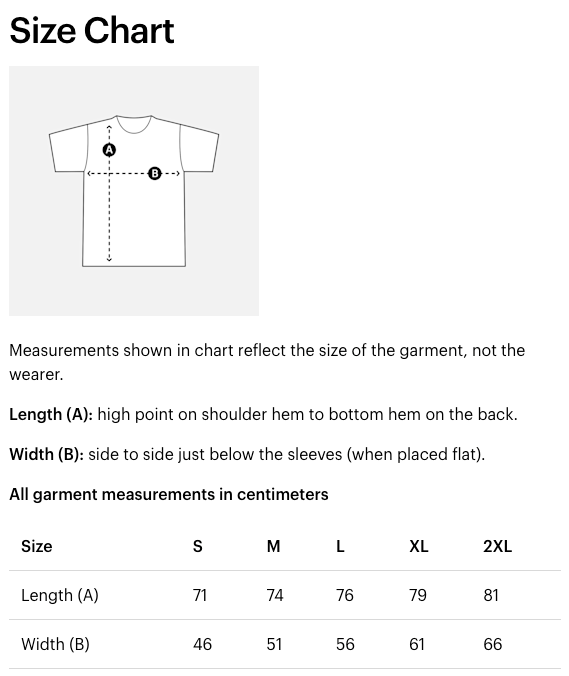 I Play Viola, I'm Altonative T-Shirt MEDIUM