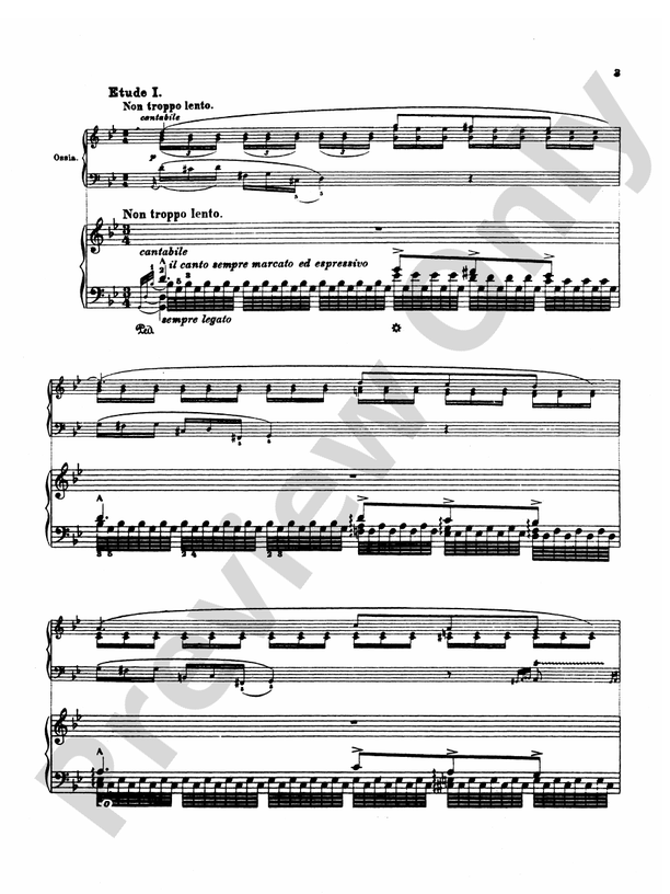 Liszt - Etudes (Volume III) - Piano Solo (Digital Download)