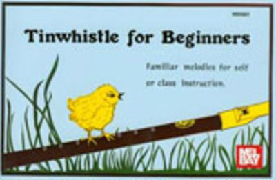 Tin Whistle For Beginners -