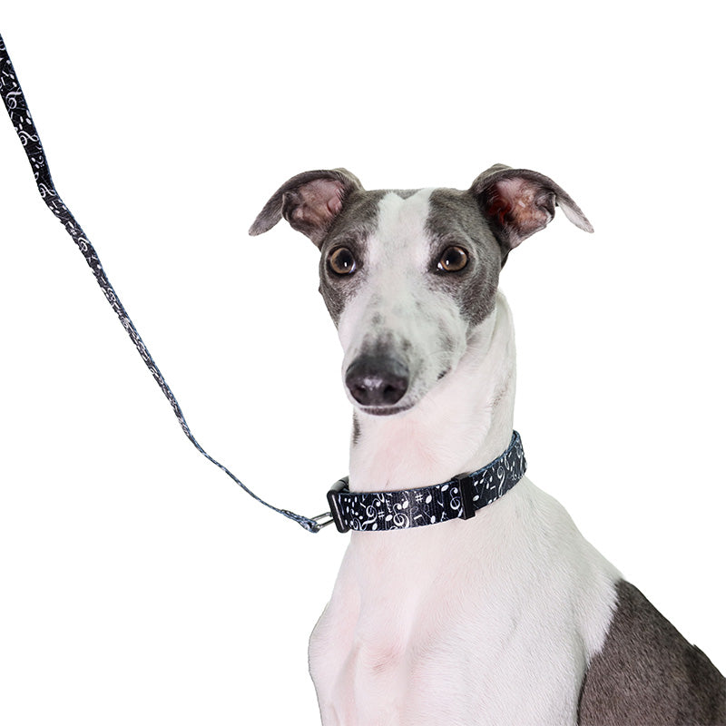 Dog Collar Small/Medium Black with White Notes