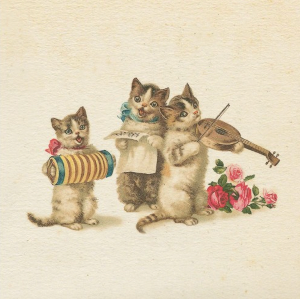 Greeting Card Three Kittens Playing the Accordion, Viol and Singing