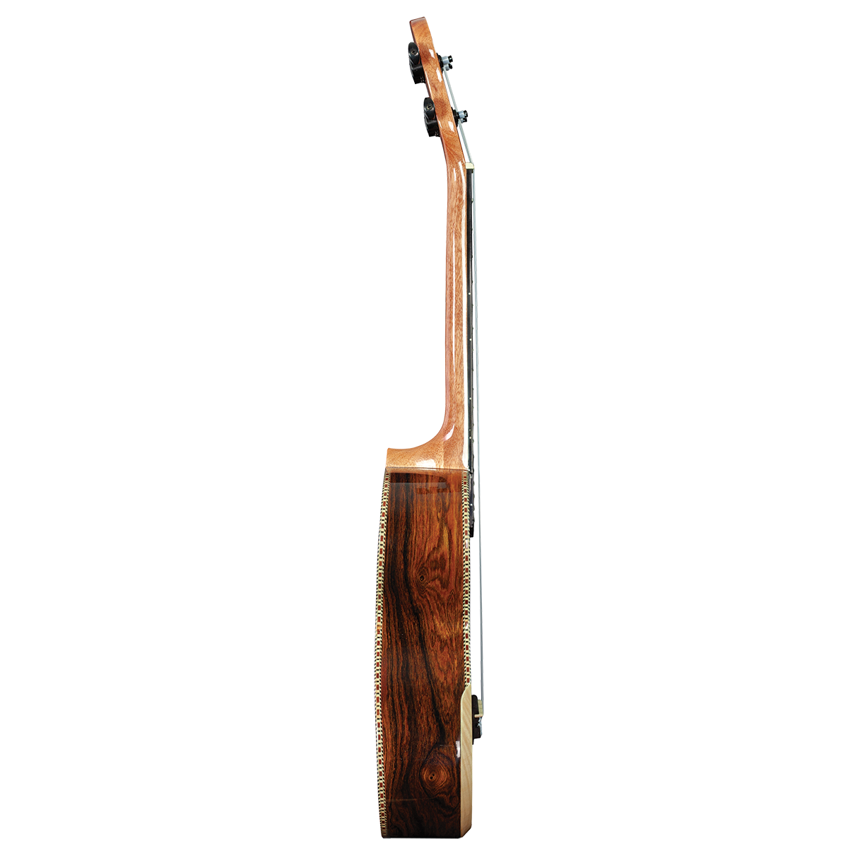 Barnes & Mullins BMUK8C Concert Becote Ukulele