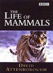 The Life Of Mammals (Theme from the BBC TV Series) - Piano Solo (Digital Download)