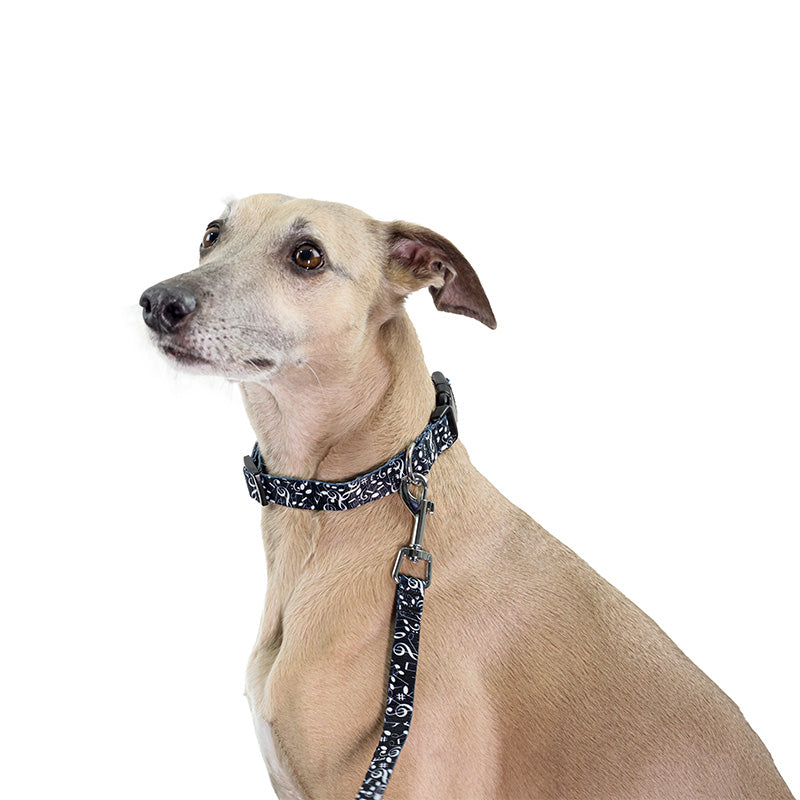 Dog Collar Medium/Large Black with White Notes