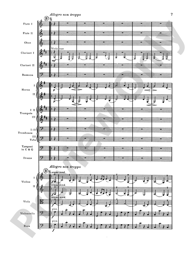 Brahms's 1st Symphony, 4th Movement – Full Orchestra Conductor Score & Parts (Digital Download)