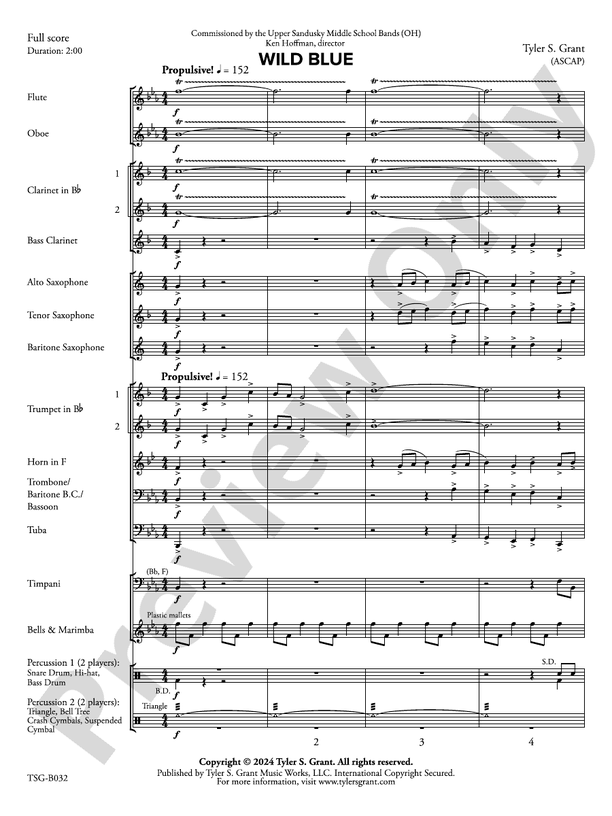 Wild Blue – Concert Band Conductor Score & Parts (Digital Download)