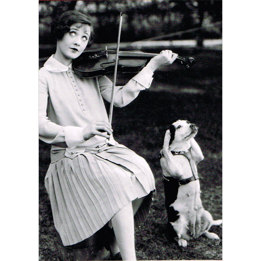 Greeting Card - Dog Covers Ears