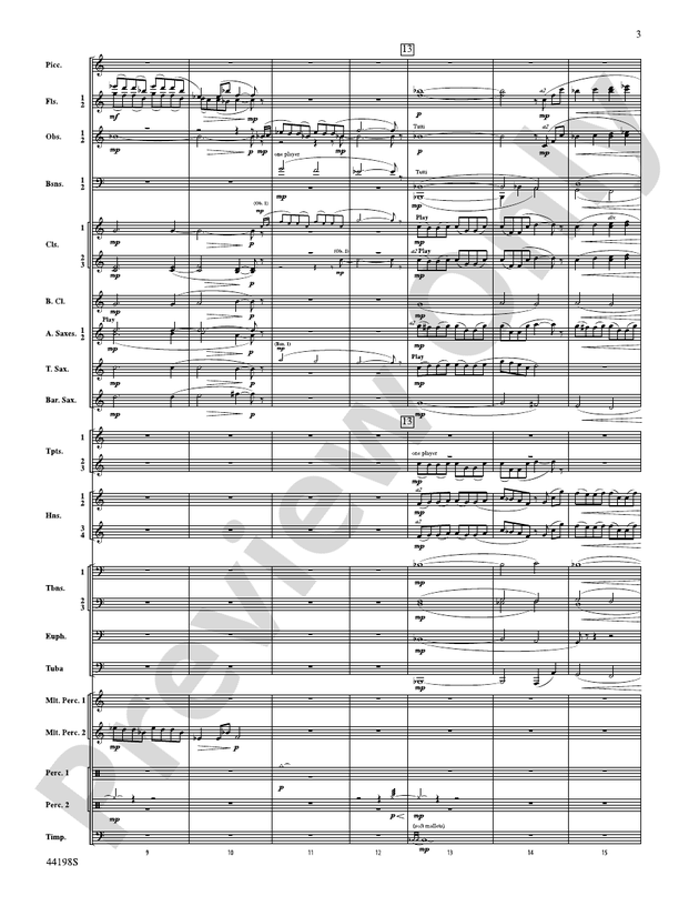 Afterlife - Concert Band Conductor Score & Parts (Digital Download)