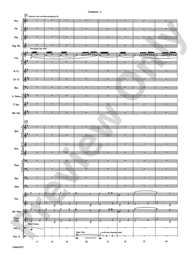 Harry Potter Symphonic Suite - Concert Band Conductor Score & Parts (Digital Download)