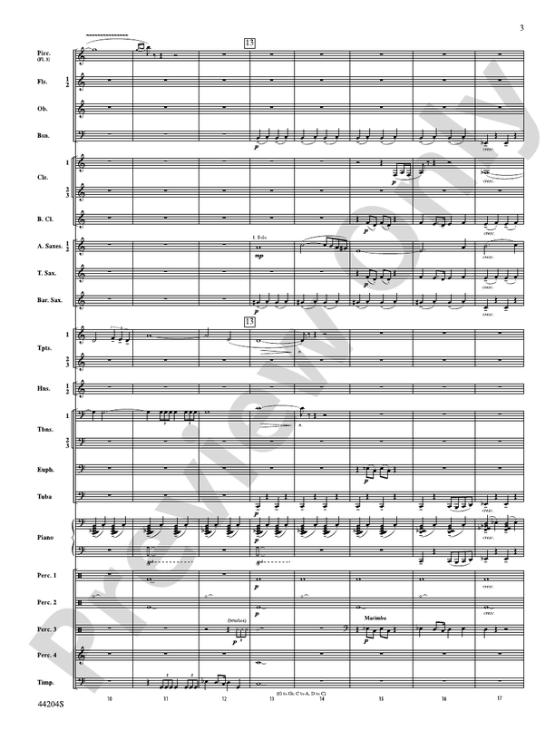 The Vikings - Concert Band Conductor Score & Parts (Digital Download)
