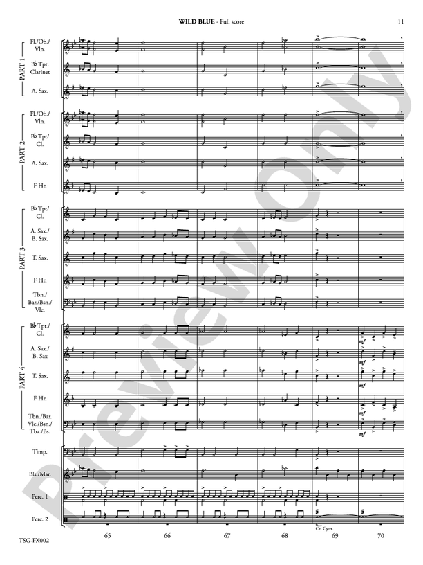 Wild Blue (Flexible Arrangement) - Concert Band Conductor Score & Parts (Digital Download)