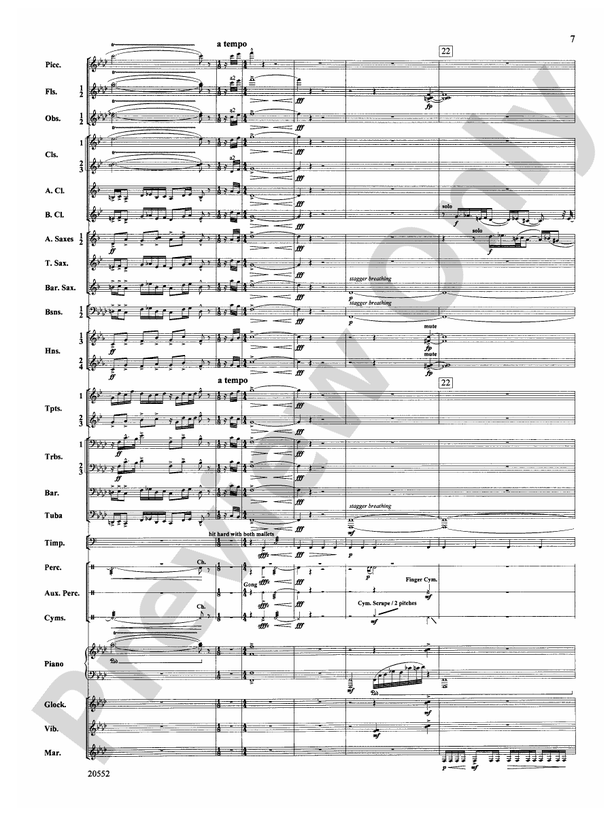 Chiaroscuro - Concert Band Conductor Score & Parts (Digital Download)