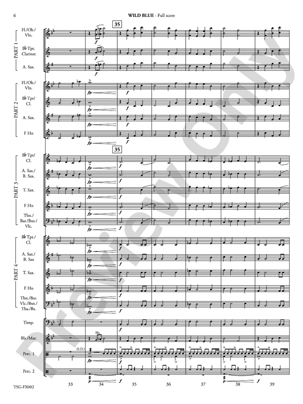Wild Blue (Flexible Arrangement) - Concert Band Conductor Score & Parts (Digital Download)