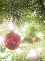 Silent Night - Violin/Piano Accompaniment (Digital Download)