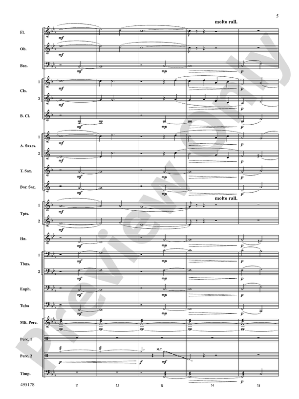 Starfall - Concert Band Conductor Score & Parts (Digital Download)