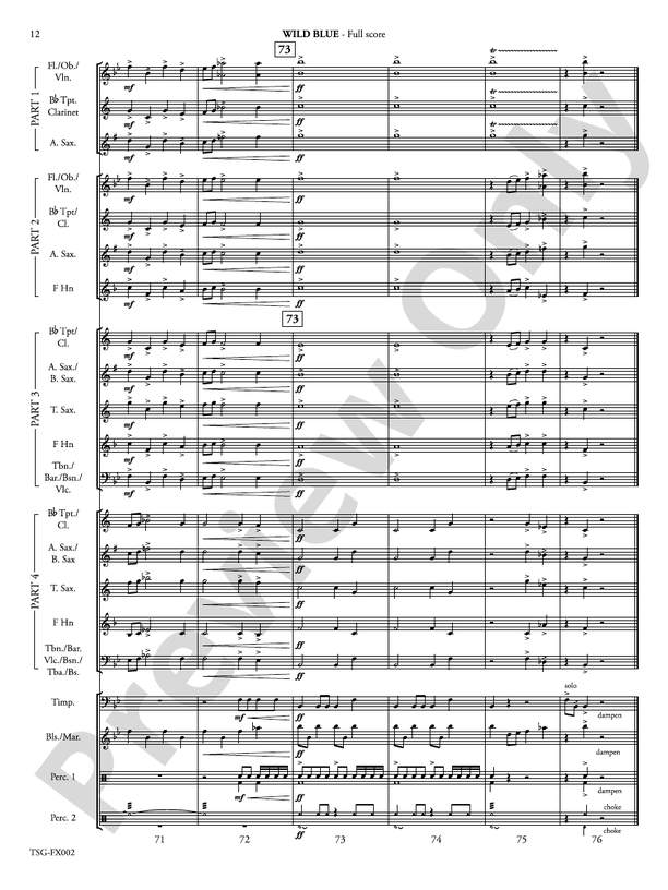 Wild Blue (Flexible Arrangement) - Concert Band Conductor Score & Parts (Digital Download)