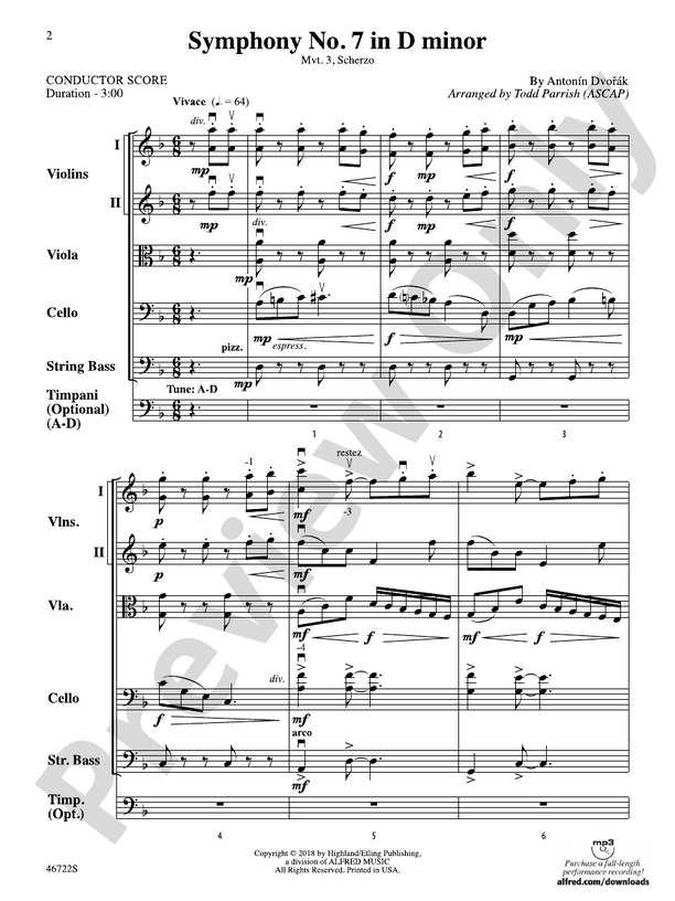 Symphony No. 7 in D Minor - String Orchestra Conductor Score & Parts (Digital Download)