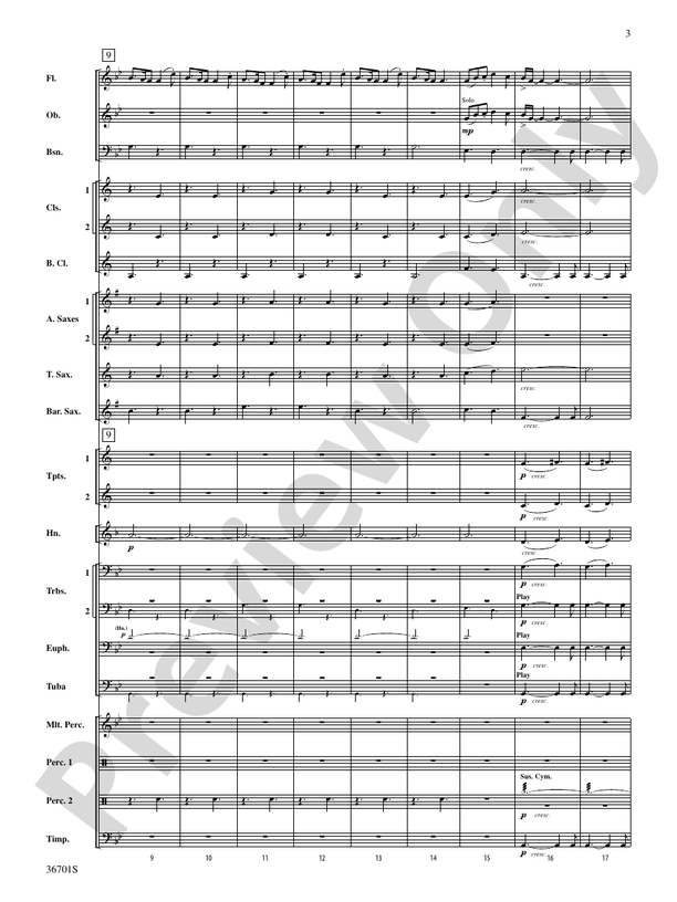 Lion of Ireland - Concert Band Conductor Score & Parts (Digital Download)