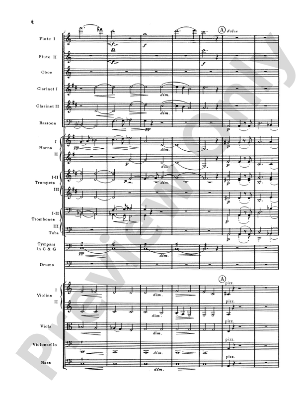 Brahms's 1st Symphony, 4th Movement – Full Orchestra Conductor Score & Parts (Digital Download)
