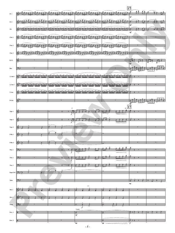 Soaring Over High and Low Country - Camden Celebration - Concert Band Conductor Score & Parts(Digital Download)