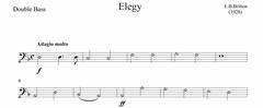 Elegy for Strings - Double Bass Part (Digital Download)
