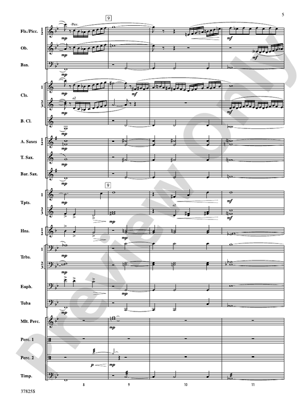 Savannah River Rhapsody - Concert Band Conductor Score & Parts (Digital Download)