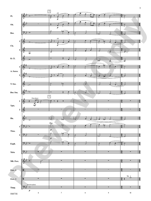 Great Falls Fantasy – Concert Band Conductor Score & Parts