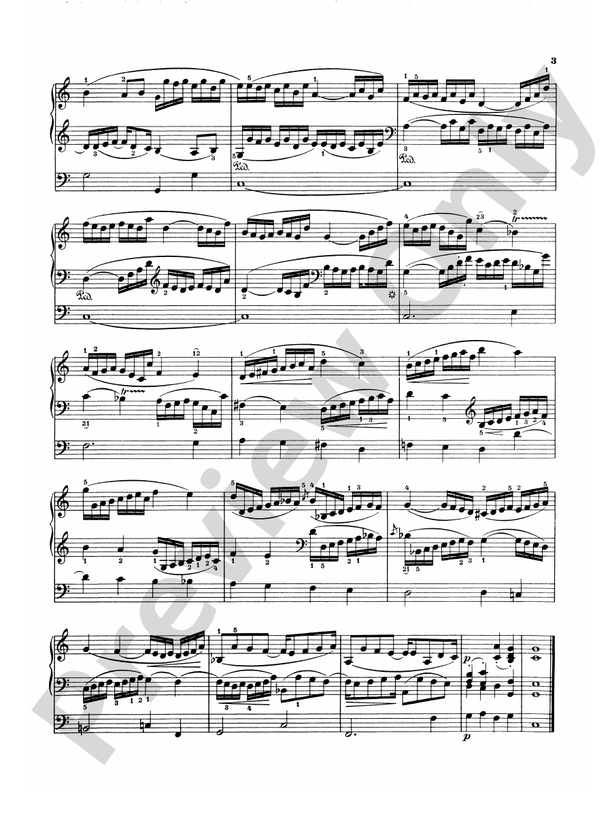 Schumann - Complete Works (Volume V) - Piano Solo (Digital Download)