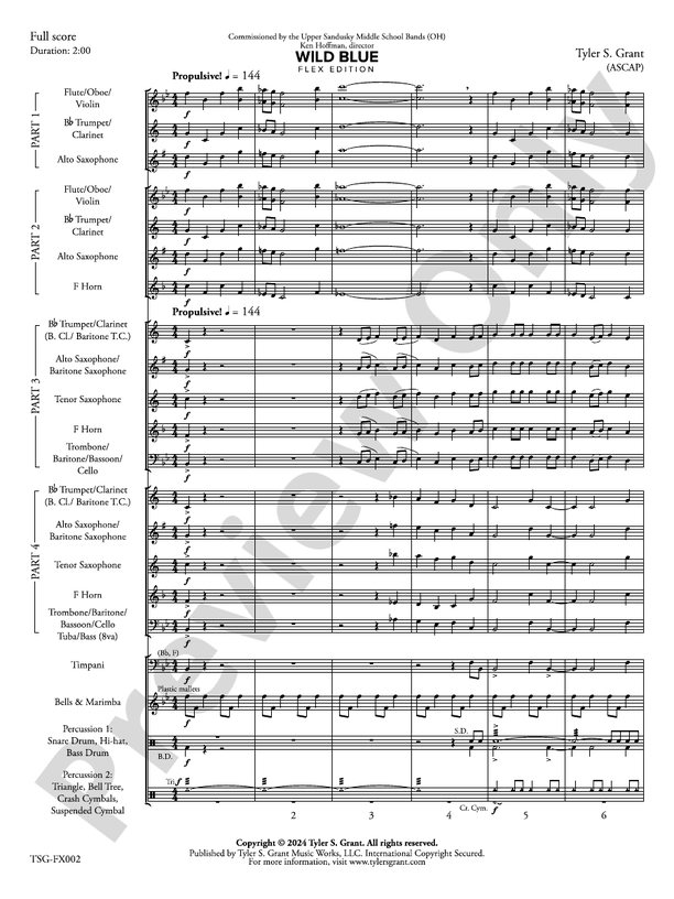 Wild Blue (Flexible Arrangement) - Concert Band Conductor Score & Parts (Digital Download)