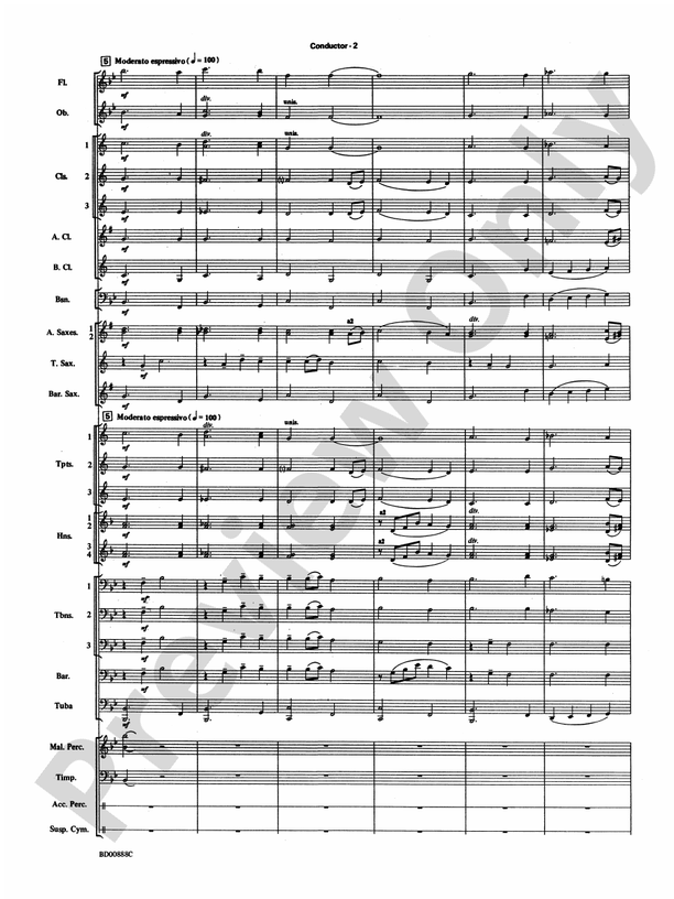 I'll Fight - Concert Band Conductor Score & Parts (Digital Download)