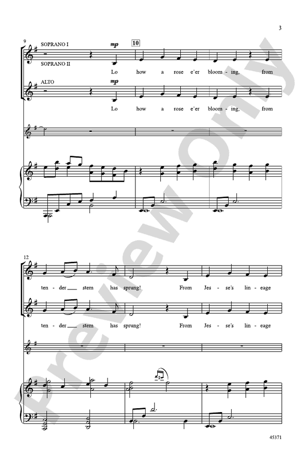December Rose – SSA Choral Octavo (Digital Download)