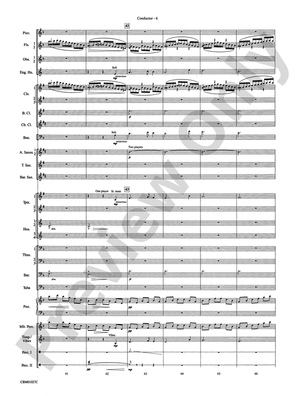 Harry Potter Symphonic Suite - Concert Band Conductor Score & Parts (Digital Download)
