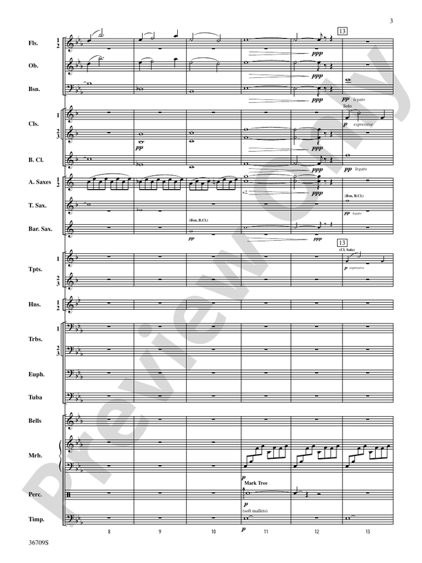 The Light Shines in the Darkness - Concert Band Conductor Score & Parts (Digital Download)