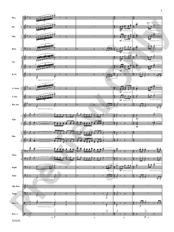 Sea Hawk - Concert Band Conductor Score & Parts (Digital Download)